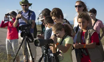 Més de 100 activitats al voltant de l'ornitologia estan programades al festival (imatge: deltabirdingfestival.com)