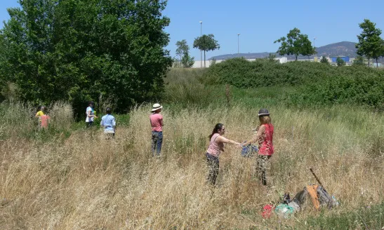 L'objectiu d'aquesta crida és trobar voluntaris i voluntàries per ajudar els plançons més joves a superar la calor i la sequera de l'estiu (imatge: Associació Hàbitats)