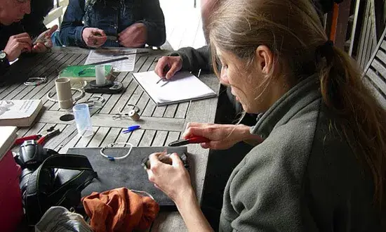 Cada any més de 200 anelladors i anelladores enregistres més de 70000 aus (imatge: ornitologia.org)