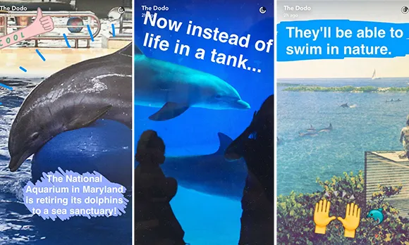 La ONG The Dodo fa servir "stories" de Snapchat per denúnciar la situació dels dofins en els aquaris.