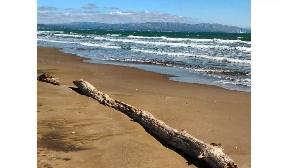 Platja de la Marquesa, a Deltebre (imatge: @eulaliaguarro)