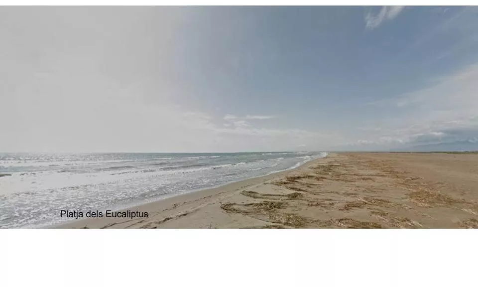 Platja dels Eucaliptus, a Amposta (imatge: Google Maps)   