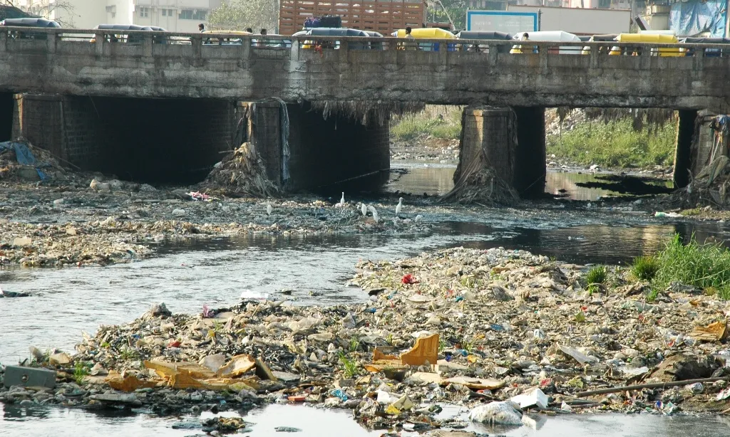 Contaminació de l'aigua a l'Índia. Font: Wikipedia