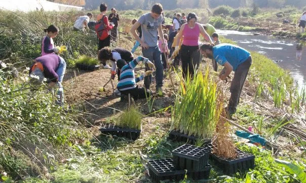 La guia recull criteris de qualitat, així com un catàleg d'experiències de programes de voluntariat ambiental (imatge: adenc.cat) 