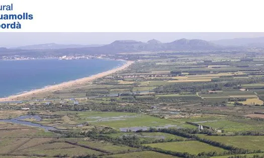 Durant els dies del Festival de les Aus es poden gaudir de visites guiades en diversos espais del Parc Natural (imatge: Parc Natural Aiguamolls de l'Empordpa)