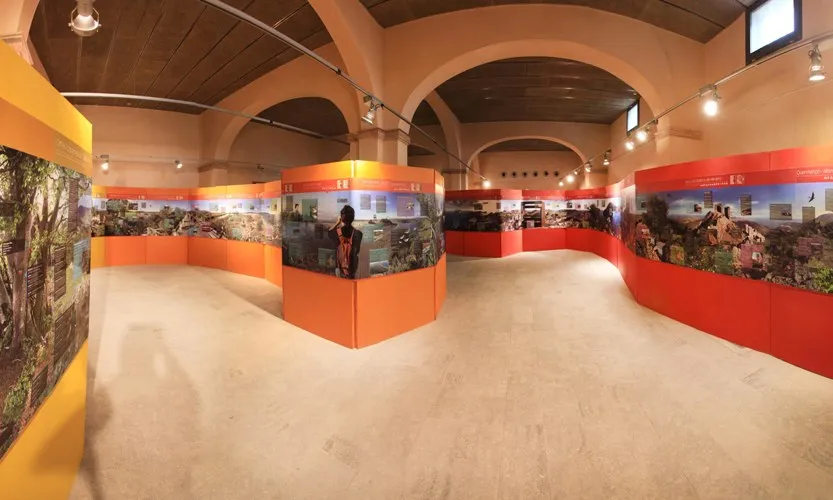 Visites a l'espai Empordana't durant el Festival de les Aus (imatge: Ecomuseu Farinera)