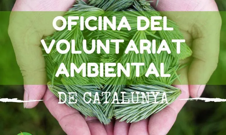 El portal voluntariatambiental.cat dedicat a les persones interessades al voluntariat ambiental (imatge: xvac.cat)