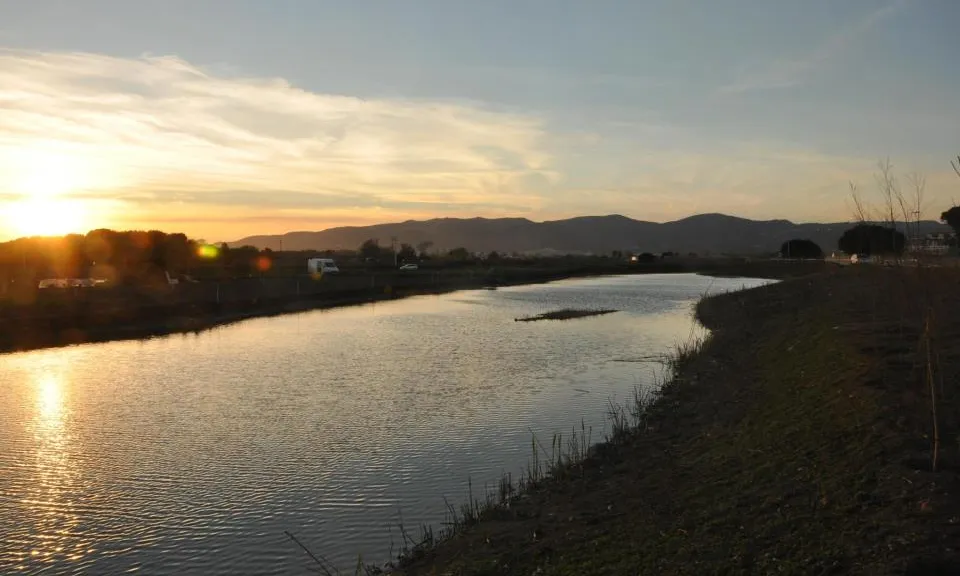 La llacuna de la Murtra, inclosa com a zona especial de protecció per a les aus, ZEPA (imatge: SOSDeltaLlobregat)