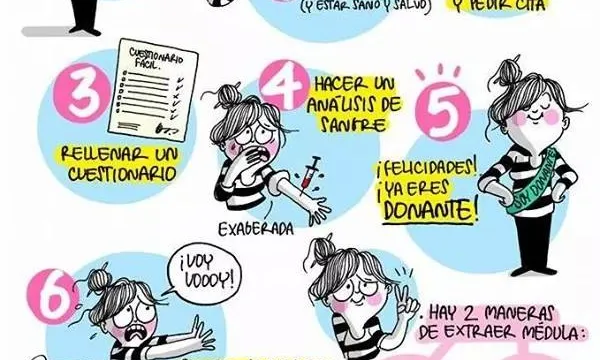 Com ser donant de medul·la. Autoria: Agustina Guerrero. Font: Plana web de Unidos por la médula.