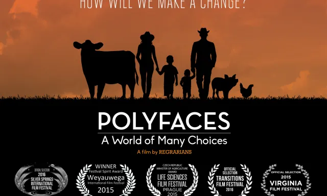 Projecció de Polyfaces a la Fira de la Natura (imatge: polyfaces)