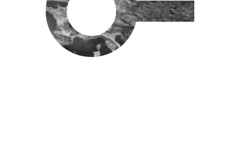 Logotip de la FOCIR. Font: FOCIR