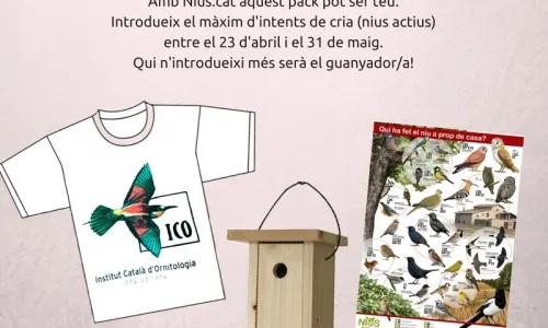 Participar a nius.cat enguany pot tenir premi