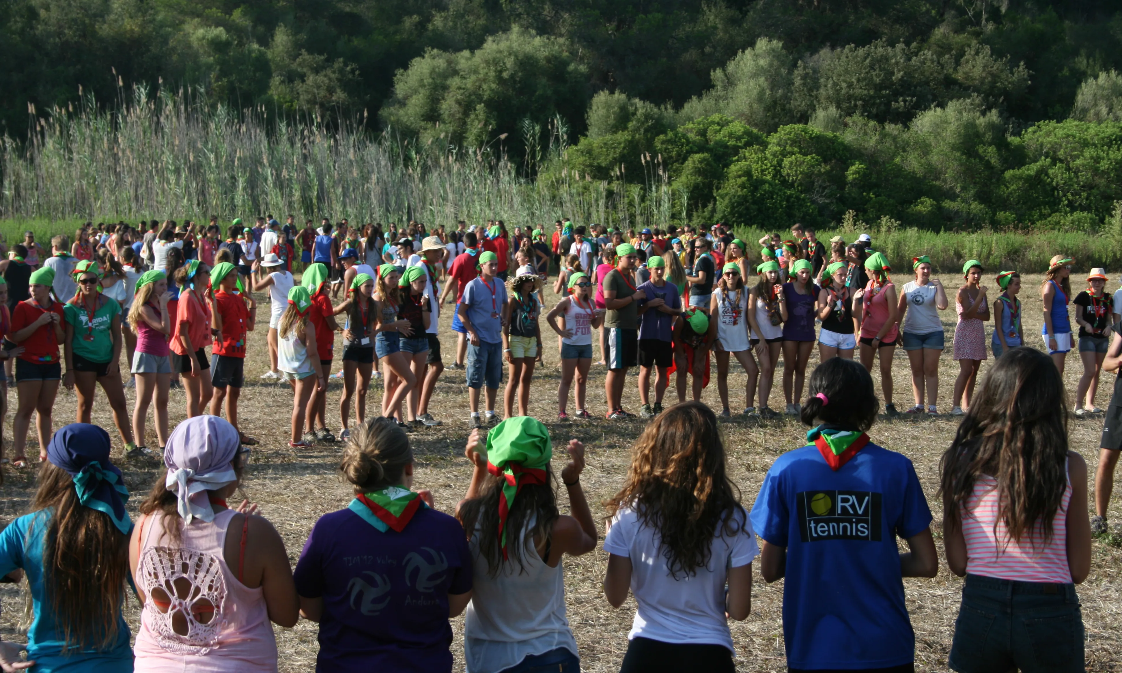 PIOCAM 2014