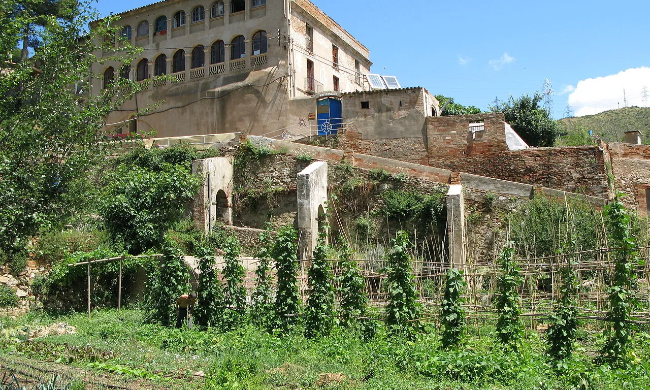 Una vista dels horts comunitaris de Can Masdeu