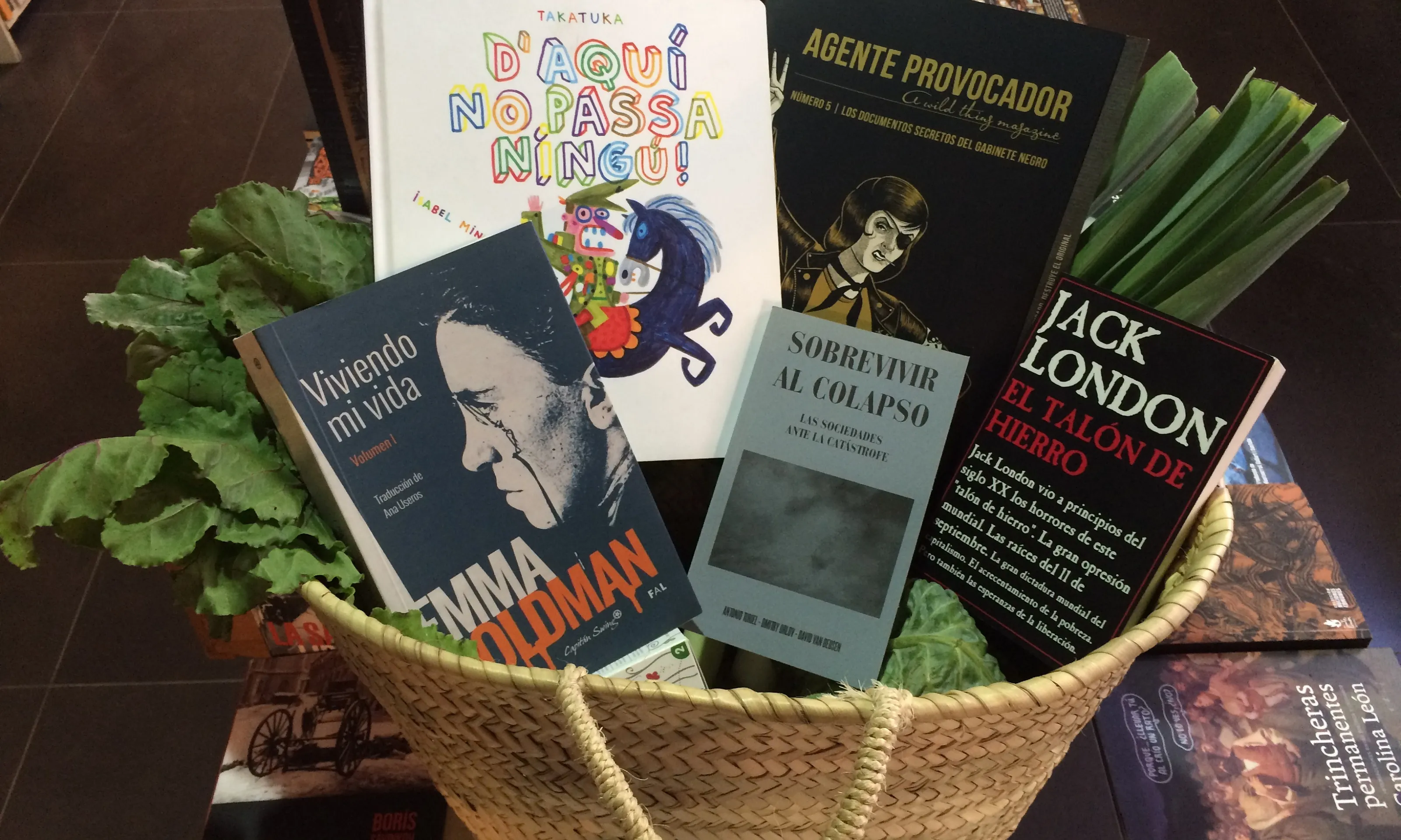 Lectures recomanades per Aldarull per a l'estiu 2017