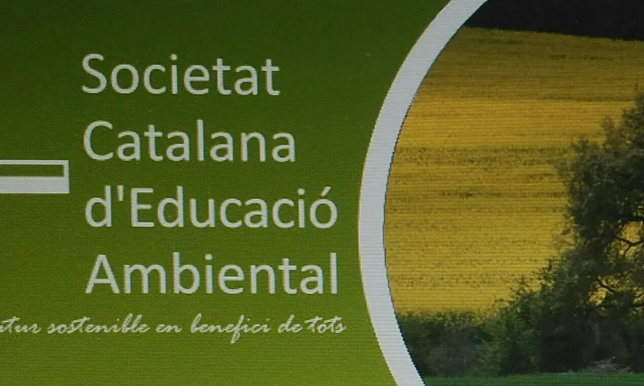 Scea