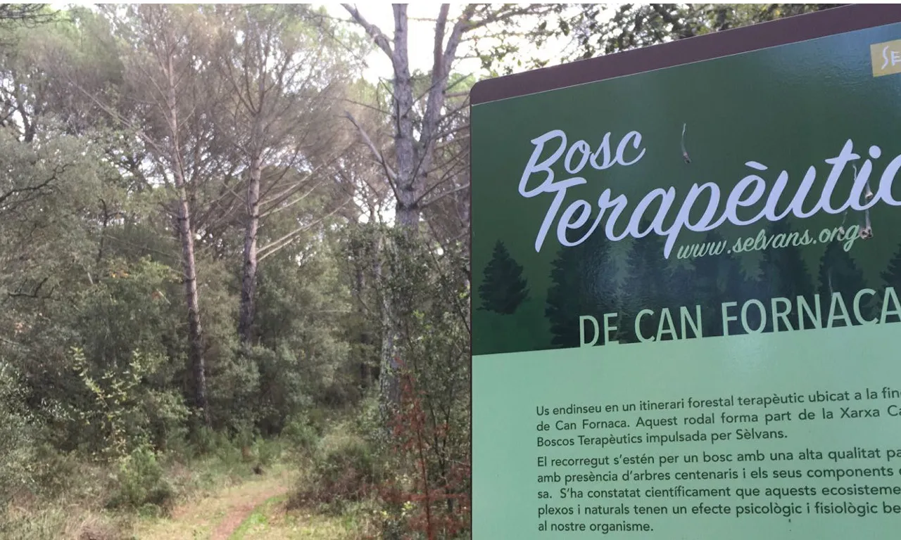 Diverses empreses donen suport a l'Associació Selvans per la conservació de boscos madurs