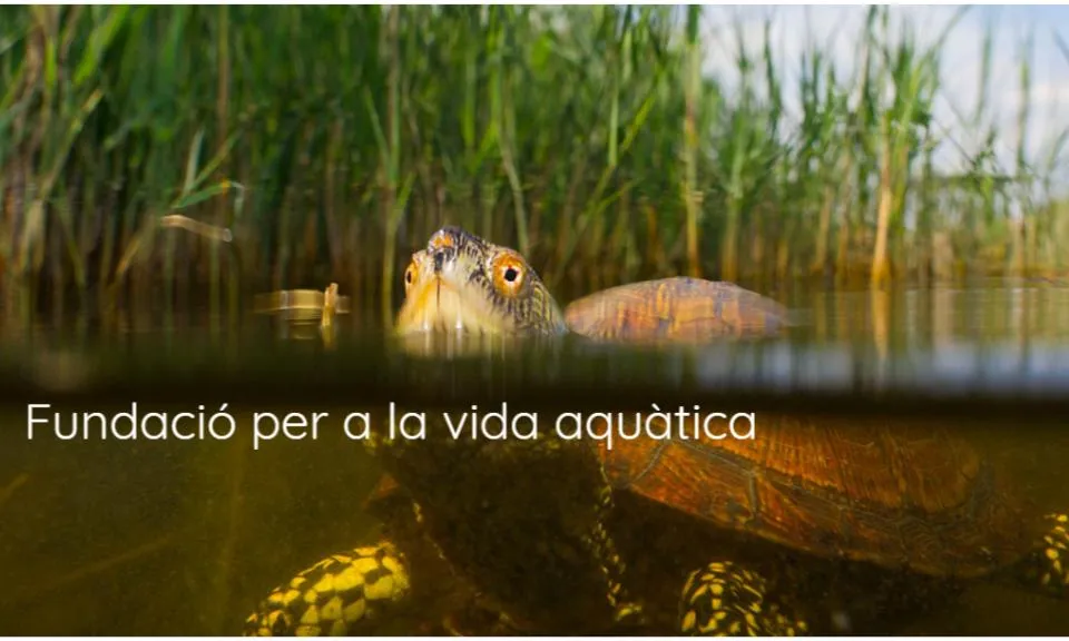 La Fundació Andrena té per missió protegir els hàbitats aquàtics