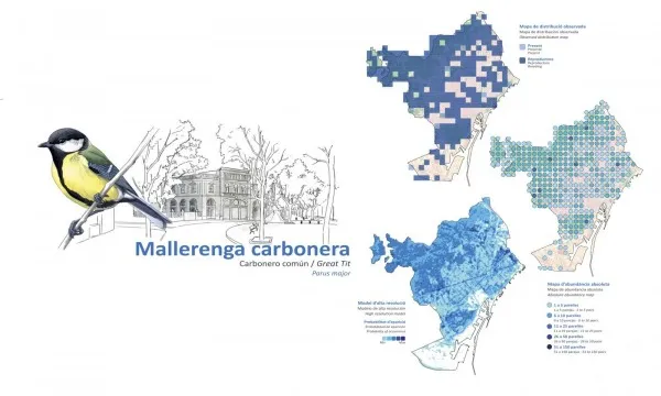 Les il·lustracions detallen l'aspecte de les aus i dels barris on habiten