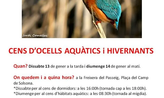 El Grup Natura Solsonès convida a participar al cens a les zones humides a la comarca del Solsonès