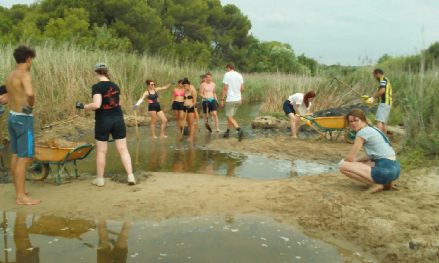 Adolescents al camp de treball de la desenbocadura  del riu Gaià amb l'Associació Mediambiental La Sínia