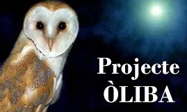 El Projecte Òliba estudia i afavoreix les poblacions d'òlibes amb participació ciutadana