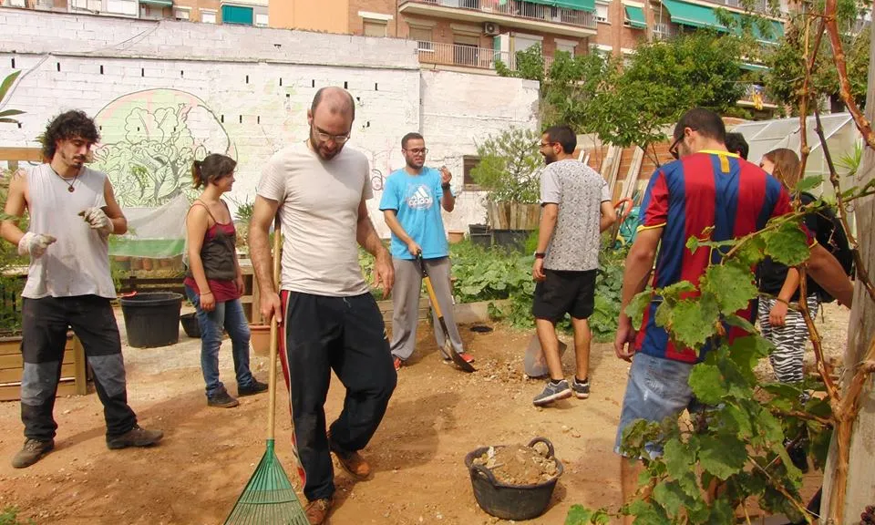 Treient pedres de la terra