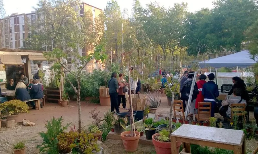 Un espai per relacionar-se amb l'agricultura i amb altres persones