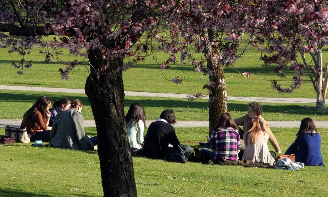 Formació en rotllana en un parc