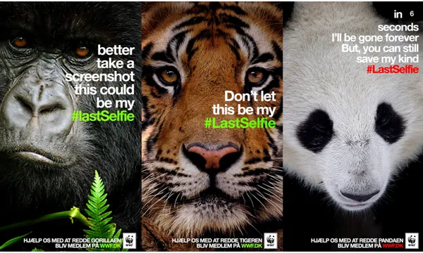 The #lastselfie, una campanya a les xarxes socials de WWF 