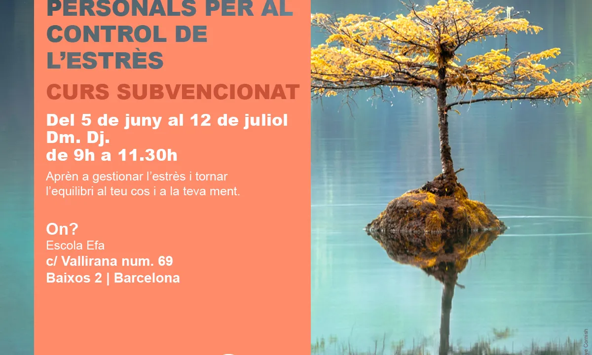 El curs 'Estratègies personals per al control de l'estrès' es realitzarà del 5 de juny al 12 de juliol