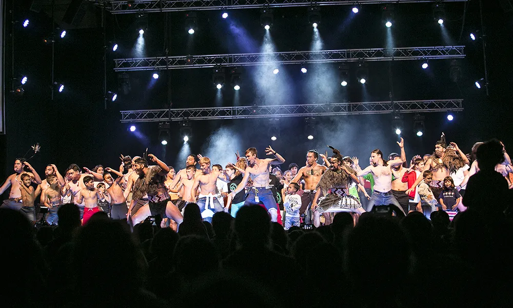 Imatge del festival Ésdansa