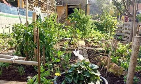 L'aplec vol crear una comunitat estable de persones interessades en agricultura urbana a Barcelona