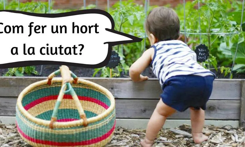 L'hort urbà permet relacionar-se amb la natura a la ciutat, i enfortir la comunitat