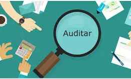 Auditoria