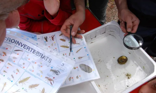 Les inspeccions recullen aspectes físics, químics i biològics del riu o riera