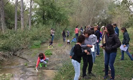 Estan previstes dues sortides formatives a l'octubre al riu Fluvià i a la riera de Can Codina