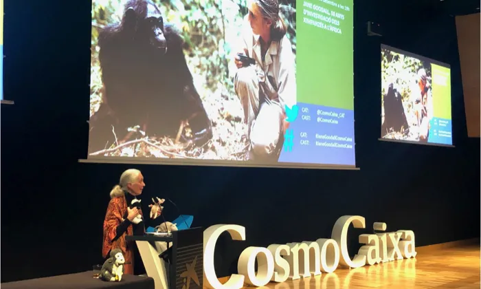 Goodal va venir a Barcelona a presentar la campanya 'Forever wild'.