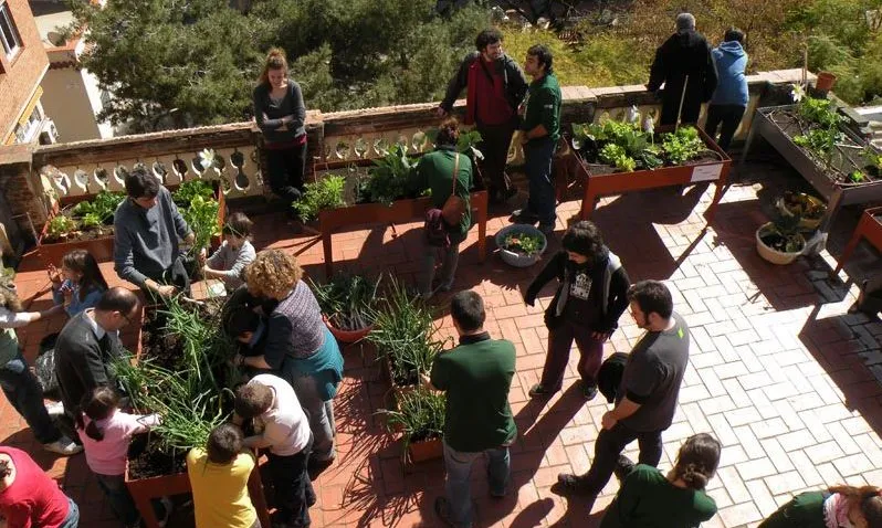 Foto zenital de diverses persones participant en un taller de medi ambient