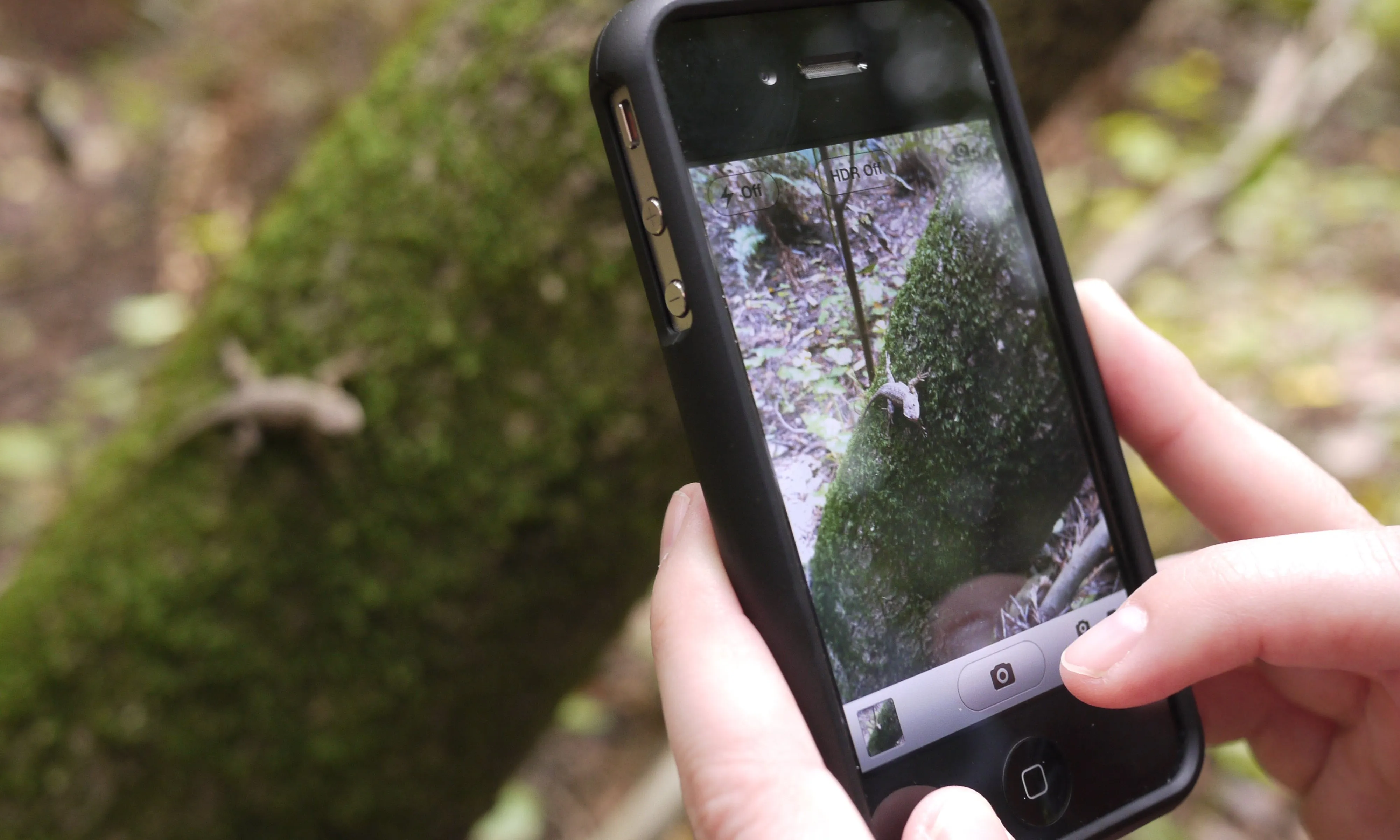 La ciència ciutadana és una forma d'aprendre i divertir-se col·laborant en ciència
