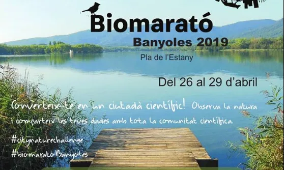 Banyoles participa enguany a la City Nature Challenge i organitza sortides a la recerca d'espècies com papallones, aus o plantes. 
