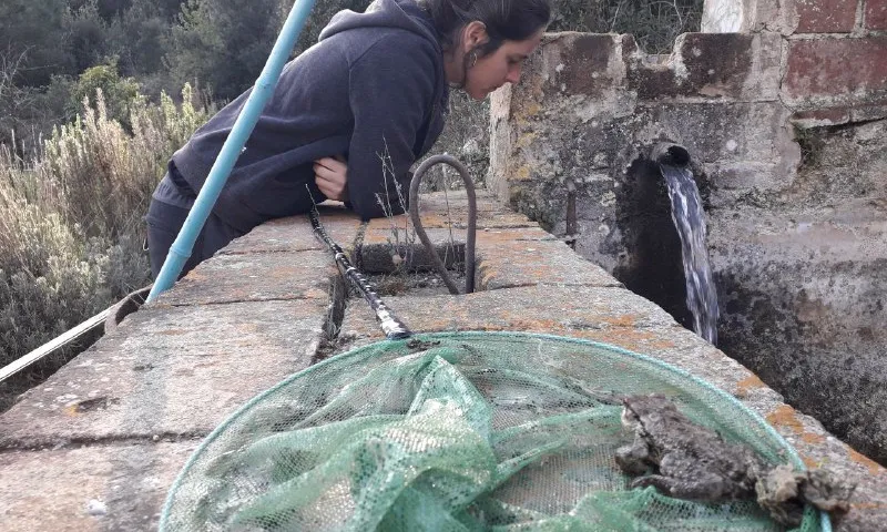 Marina Codina, tècnica de projectes de l'Associació Hàbitats. Font: Ass. Hàbitats.