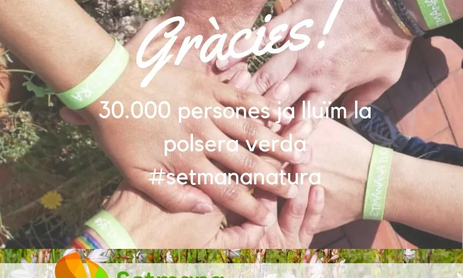 La polsera verda #setmananatura simbolitza el compromís amb la natura