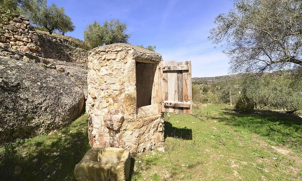 Projecte Olivar de muntanya i biodiversitat de l'Associació Trenca