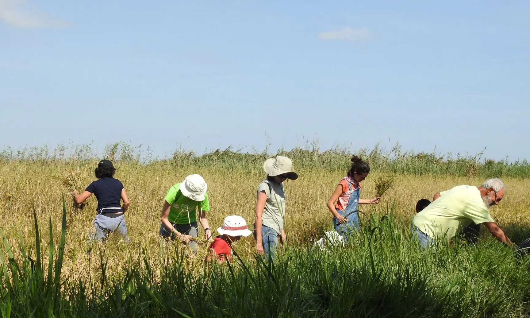 Les experiències de voluntariat a Riet Vell comprenen tasques científiques, de manteniment i de informació a les persones visitants