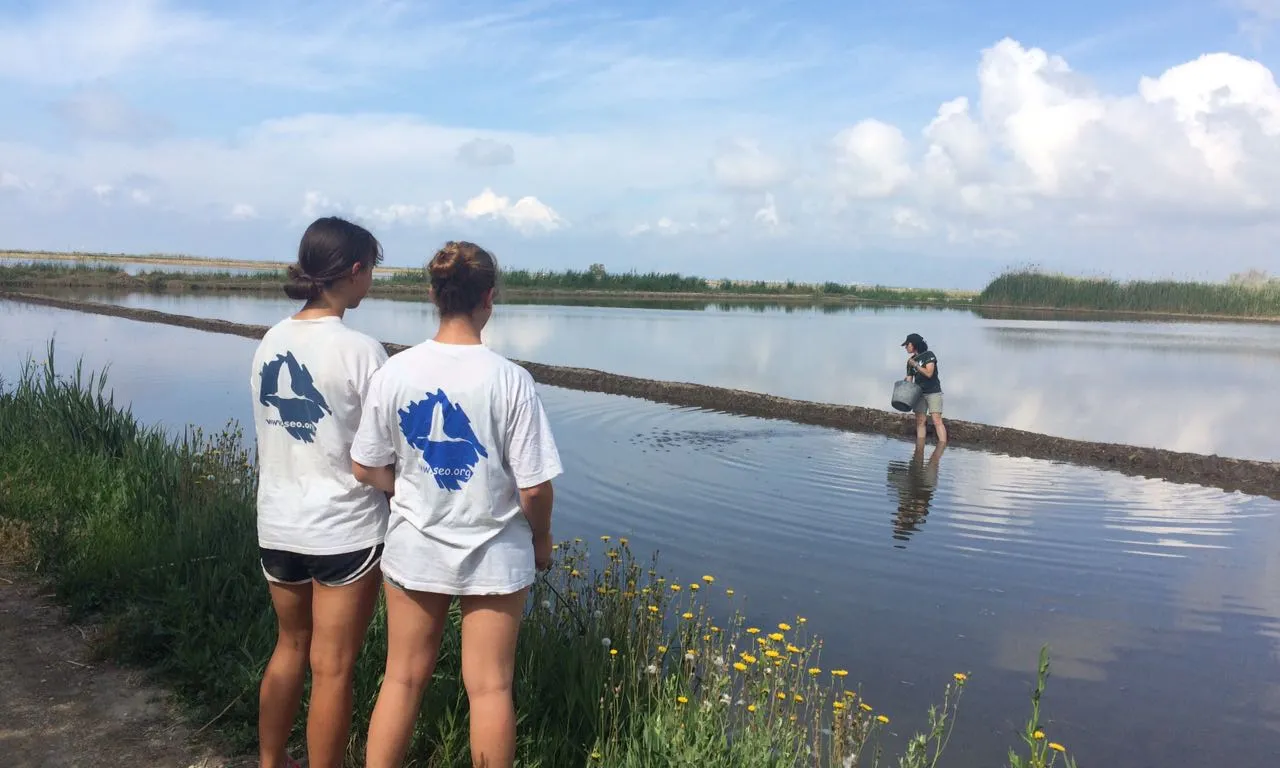 Riet Vell és una reserva natural on també es conrea arròs de forma ecològica