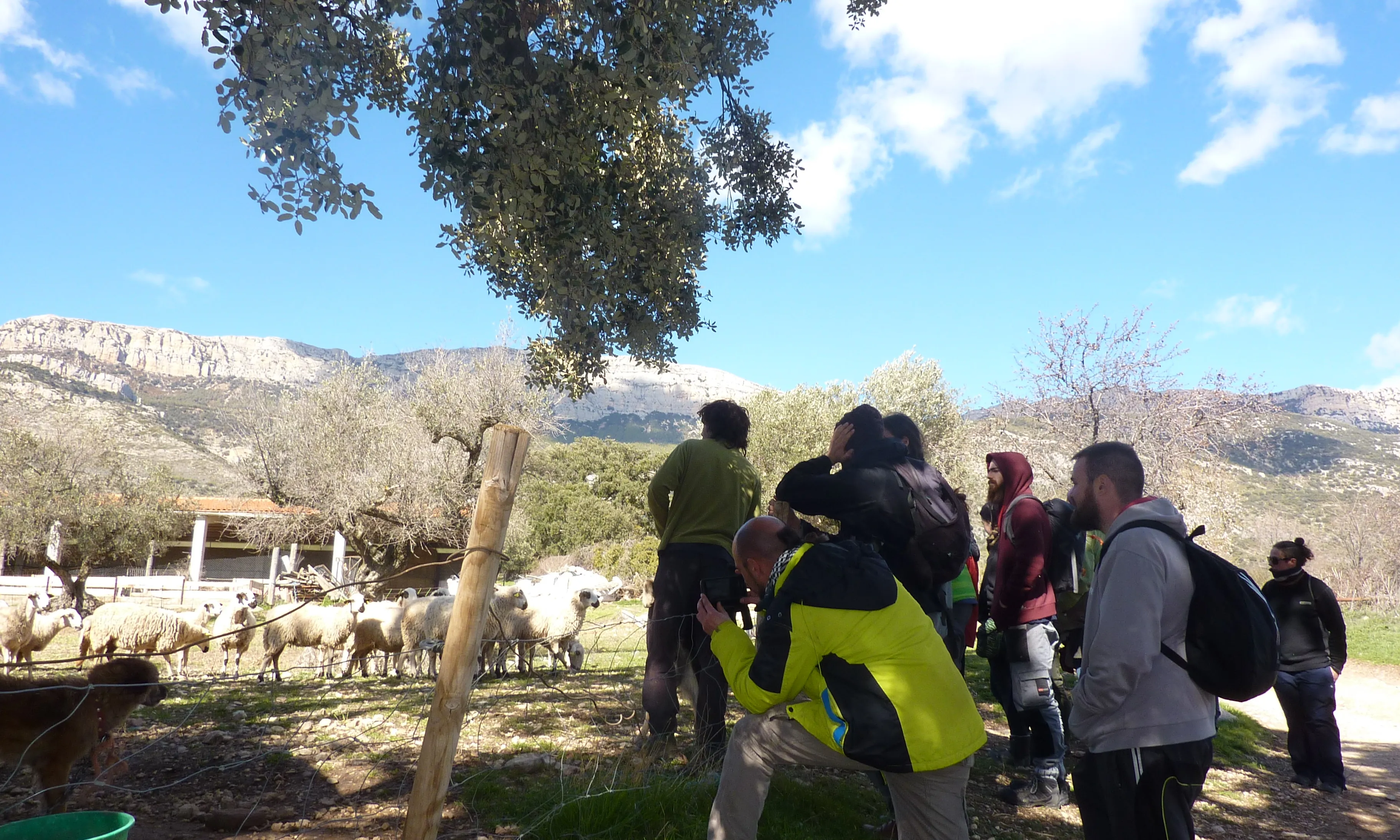 Escola de Pastors de Catalunya