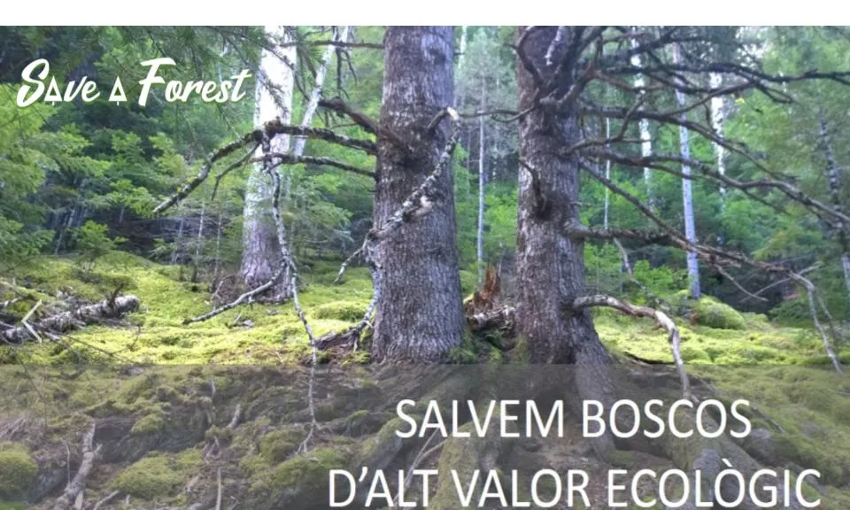 SaveaForest és una campanya de solidaritat per la natura impulsada des de l'Associació Selvans i Albert Bosch