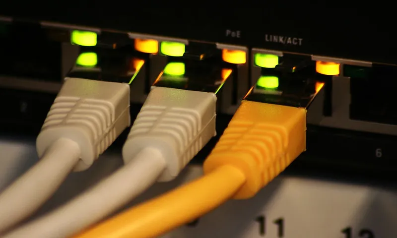 Fotografia d'uns cables d'una xarxa informàtica. 