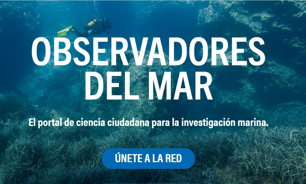 El projecte de ciència ciutadana Observadores del mar inicia una nova etapa